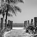 Black Florida Series - Boardwalk Beach in Key West